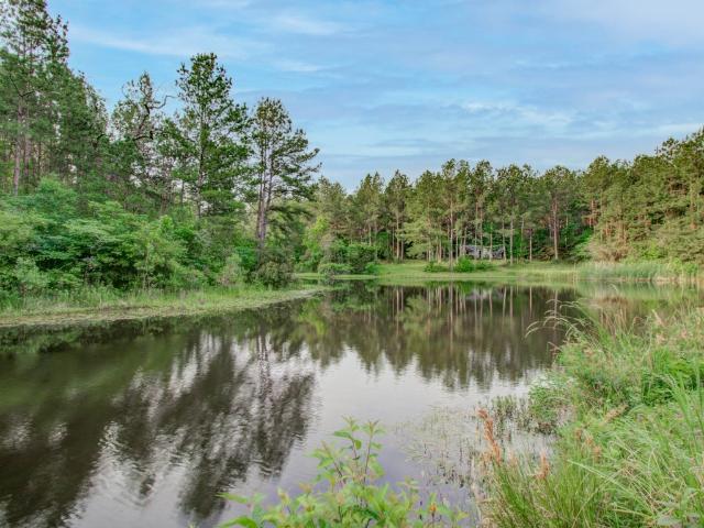 Land for sale in Walker, Texas
