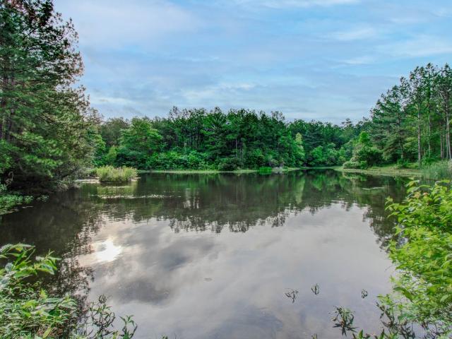Land for sale in Walker, Texas