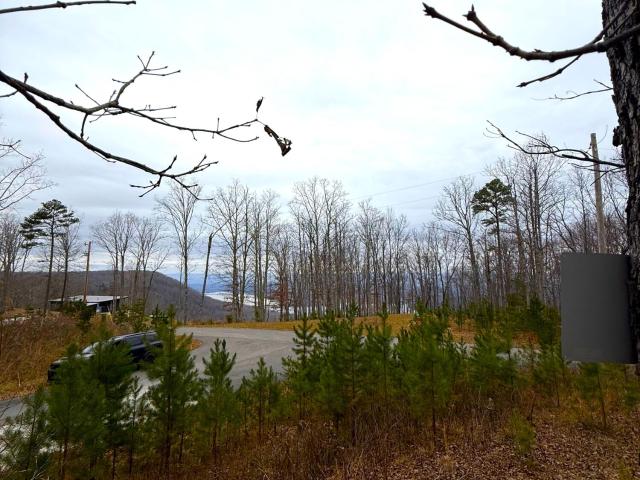 Land for sale in Tennessee