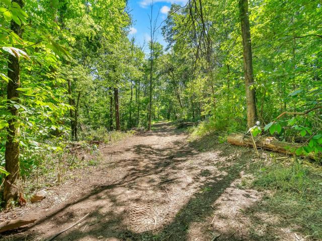 Land for sale in Tennessee