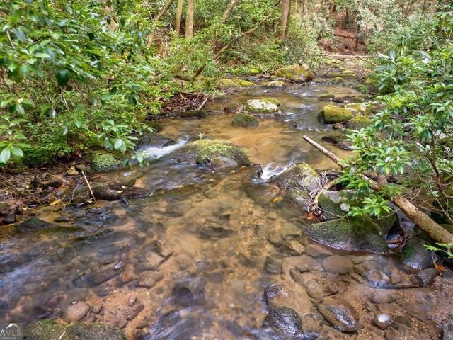 Land for sale in Gilmer, Georgia