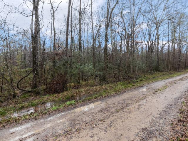 Land for sale in Shepherd Land for sale in Shepherd