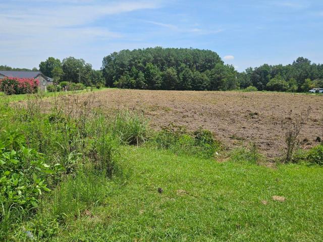 Land for sale in Berkeley County, South Carolina