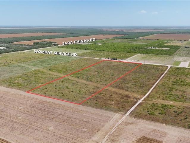 Land for sale in Hidalgo, Texas