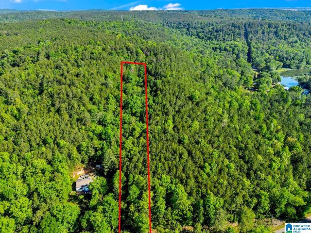 Land for sale in Parrish, Alabama