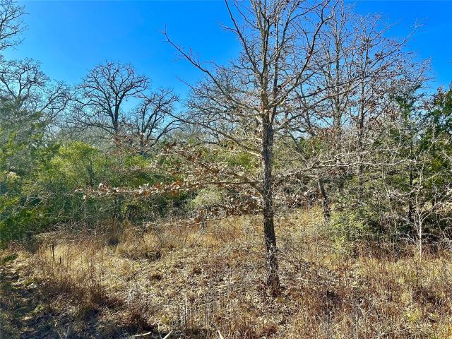 Land for sale in Waelder, Texas
