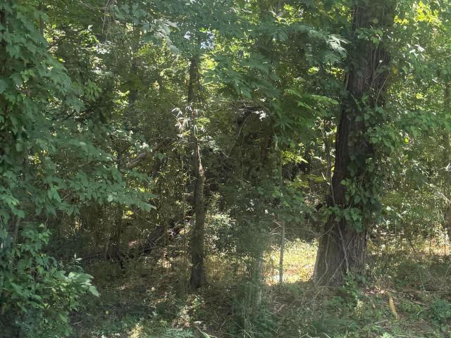 Land for sale in Natchez, Adams County