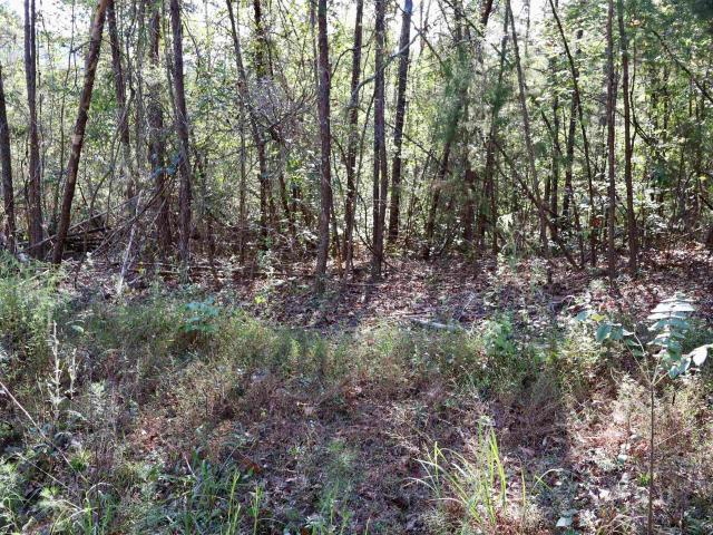 Land for sale in Blount, Alabama