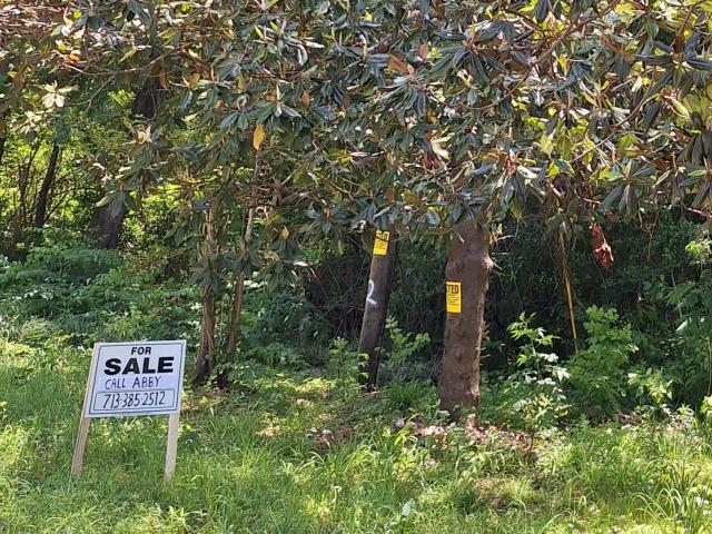 Land for sale in Shepherd, Texas