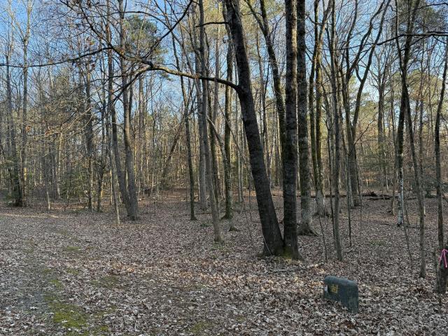 Land for sale in Littleton, North Carolina