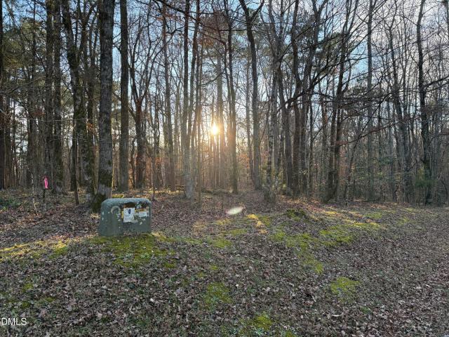 Land for sale in Littleton, North Carolina