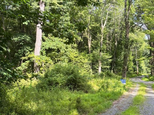 Land for sale in Town of Taghkanic, Columbia County