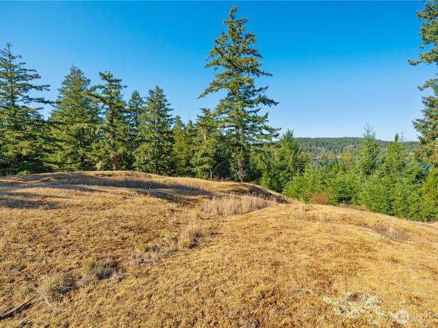 Land for sale in Friday Harbor, San Juan County
