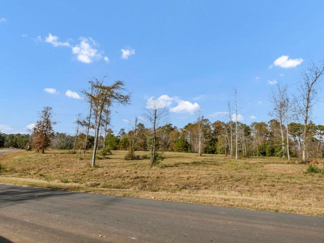 Land for sale in Prosperity, South Carolina