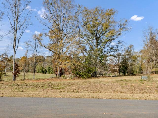 Land for sale in Prosperity, South Carolina
