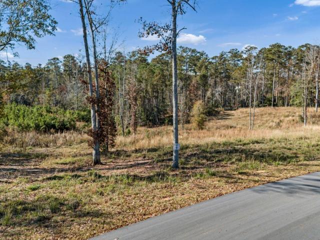 Land for sale in Prosperity, South Carolina