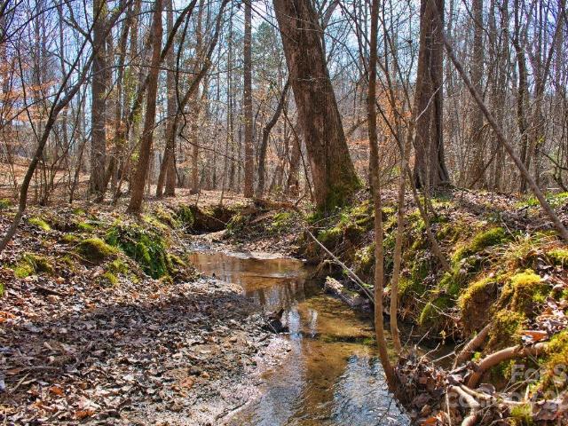 Land for sale in Rutherford, North Carolina