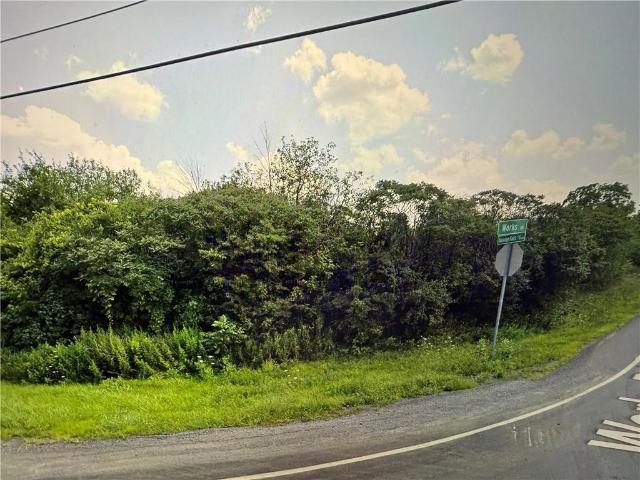 Land for sale in Rush, New York