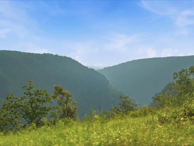 Land for sale in Tennessee