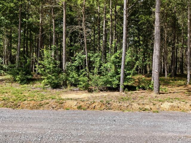 Land for sale in Tennessee