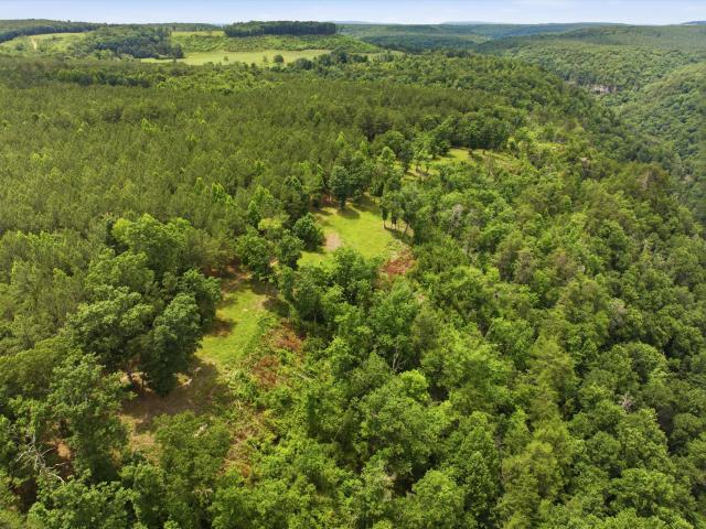 Land for sale in Tennessee