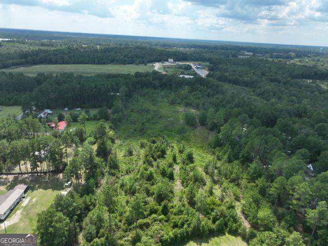 Land for sale in Eastman, Dodge County