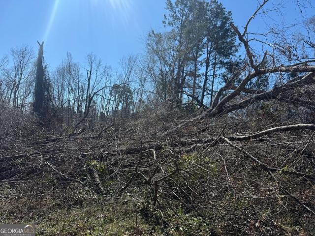 Land for sale in Hazlehurst, Georgia