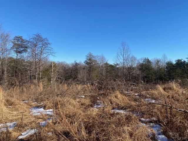 Land for sale in Virginia