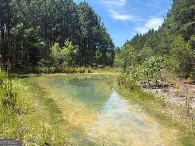 Land for sale in Wilkinson, Georgia
