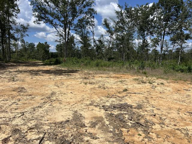 Land for sale in Big Sandy, West Tennessee