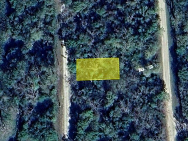 Land for sale in Walker, Texas