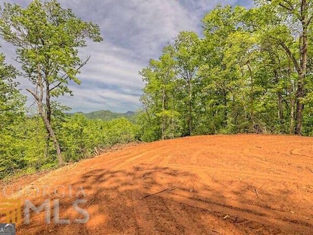 Land for sale in Dillard, Georgia