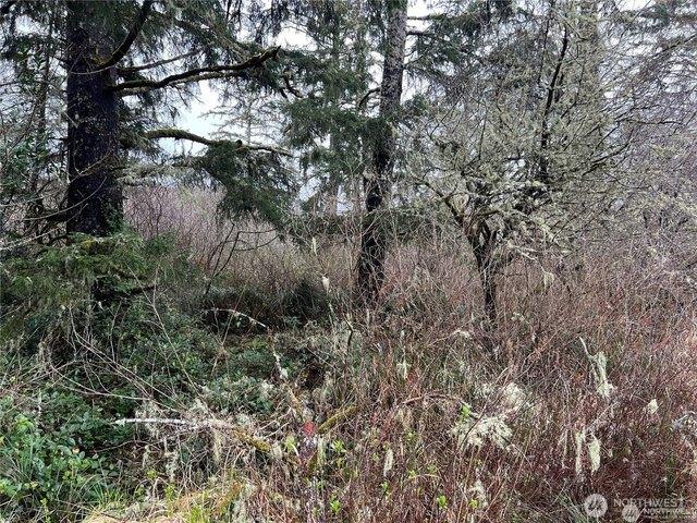Land for sale in Long Beach, Washington