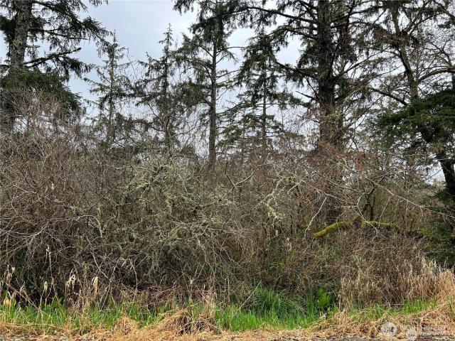 Land for sale in Long Beach, Washington