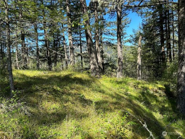 Land for sale in Eastsound, Washington