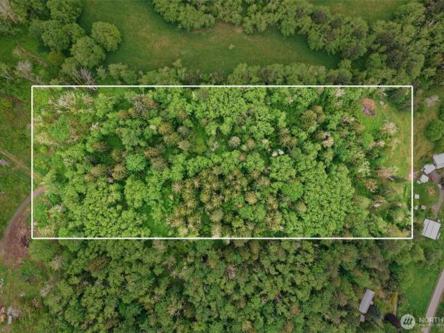 Land for sale in Mossyrock, Washington
