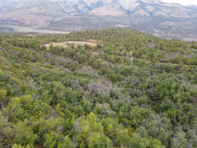 Land for sale in De Beque, Colorado