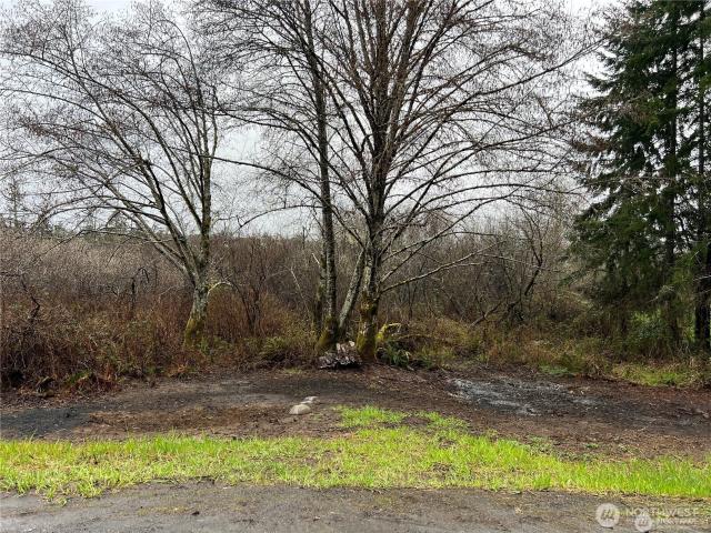Land for sale in Raymond, Washington