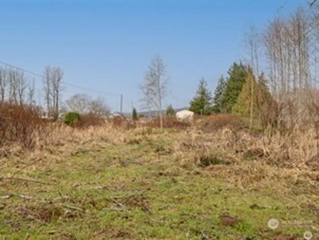 Land for sale in South Bend, Washington