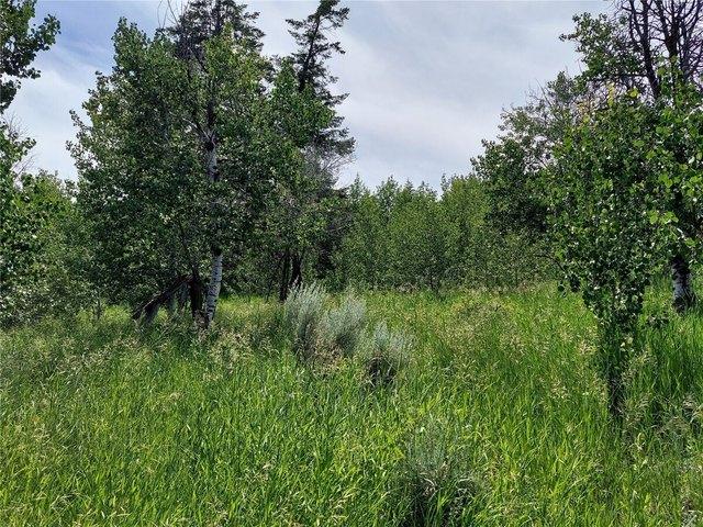 Land for sale in Wallace County, Kansas