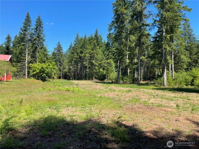 Land for sale in Mccleary, Washington