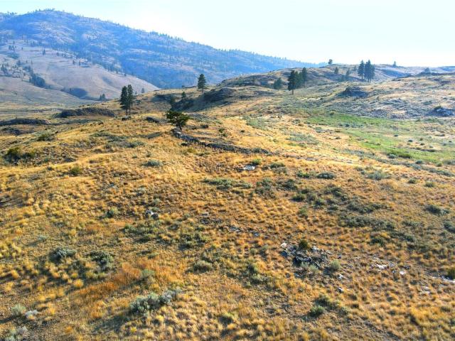 Land for sale in Janis, Tonasket