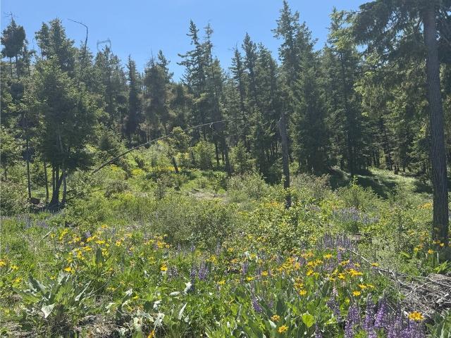 Land for sale in Waterville, Washington