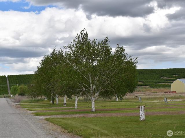 Land for sale in Brewster, Washington