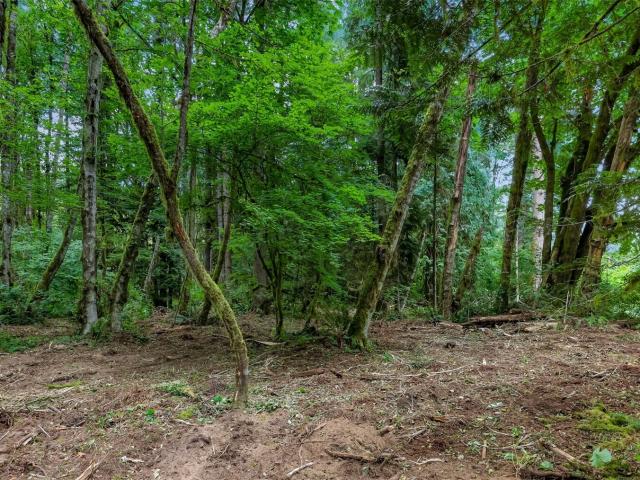 Land for sale in Concrete, Washington