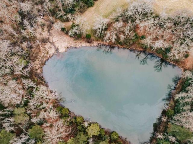 Land for sale in Arnoldsville, Georgia