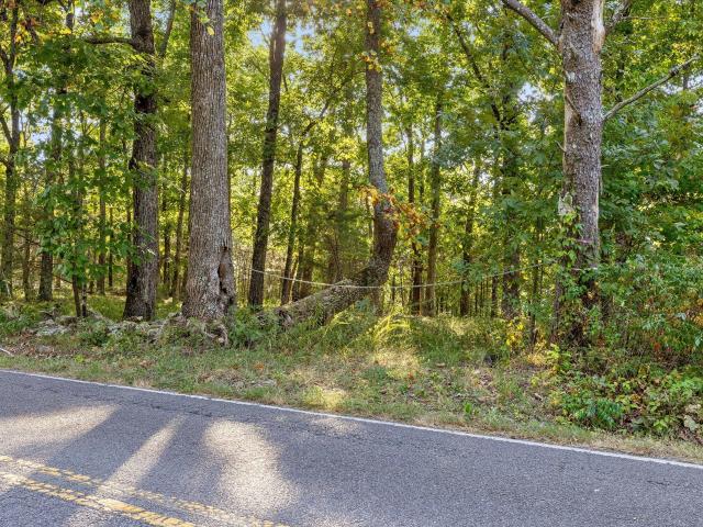Land for sale in Trenton, Walker County