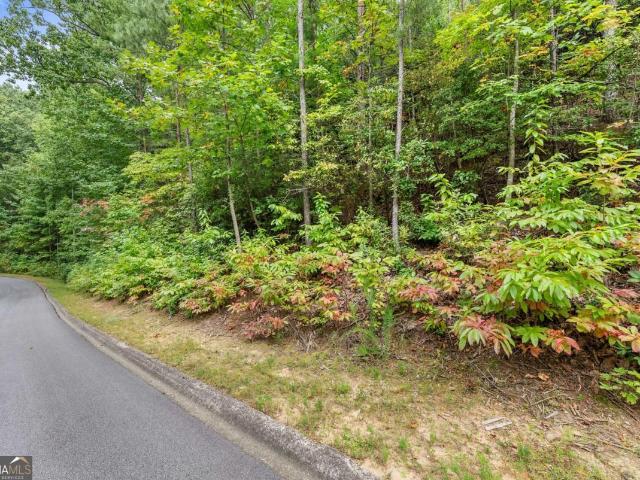 Land for sale in Clarkesville, Georgia
