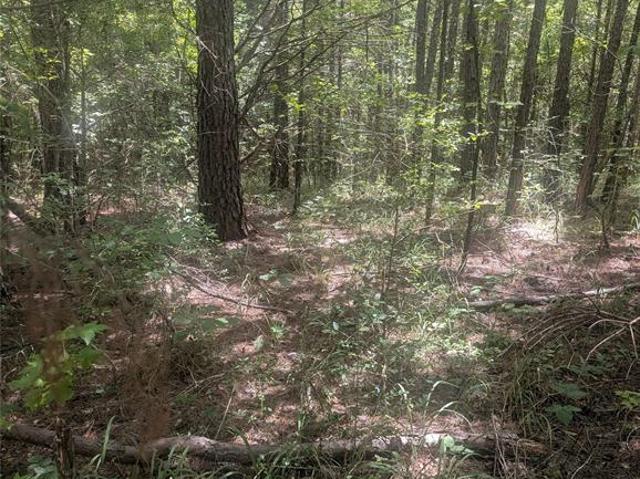 Land for sale in Wood, Texas