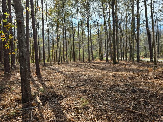 Land for sale in Barnesville, Georgia